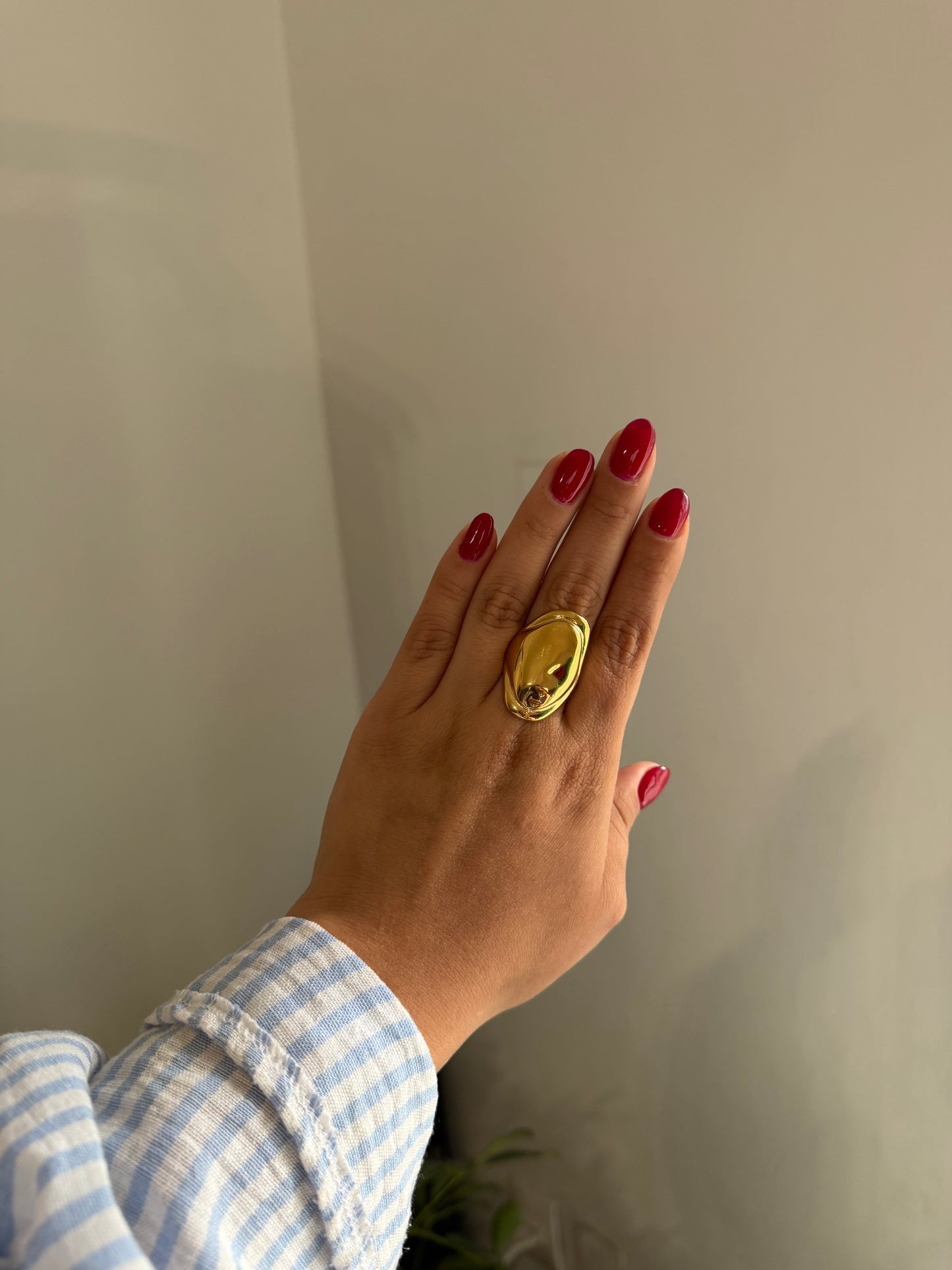 Anillo Acero Quirúrgico Ajustable 5