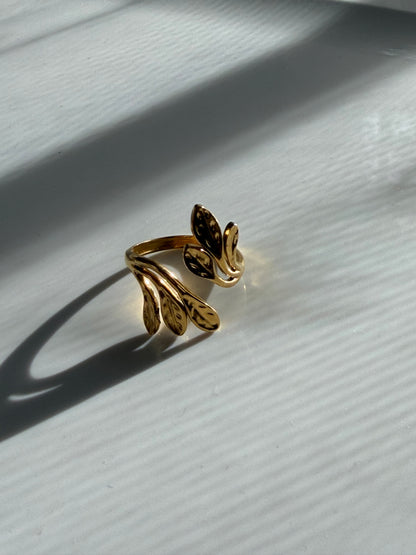 Anillo Acero Quirúrgico Ajustable 6